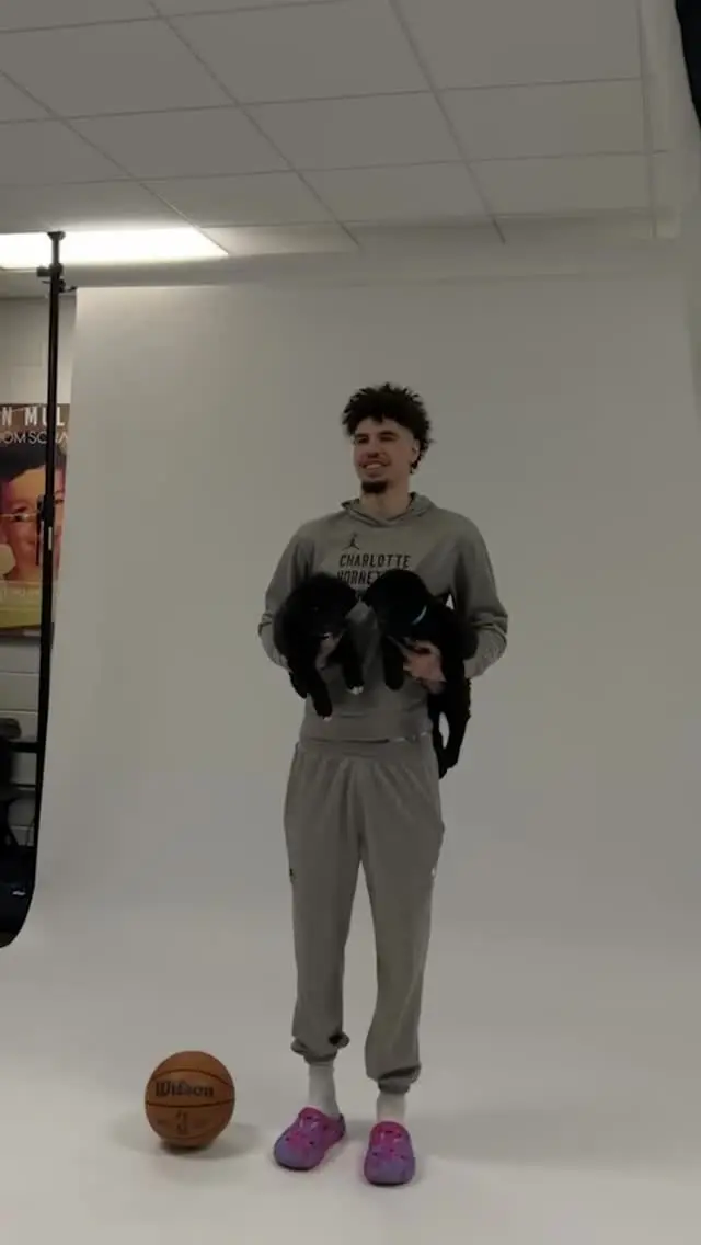 LaMelo Ball Provides 296,000 Meals For Pets Through His Season Points LaMelo Ball Provides 296,000 Meals For Pets Through His Season Points